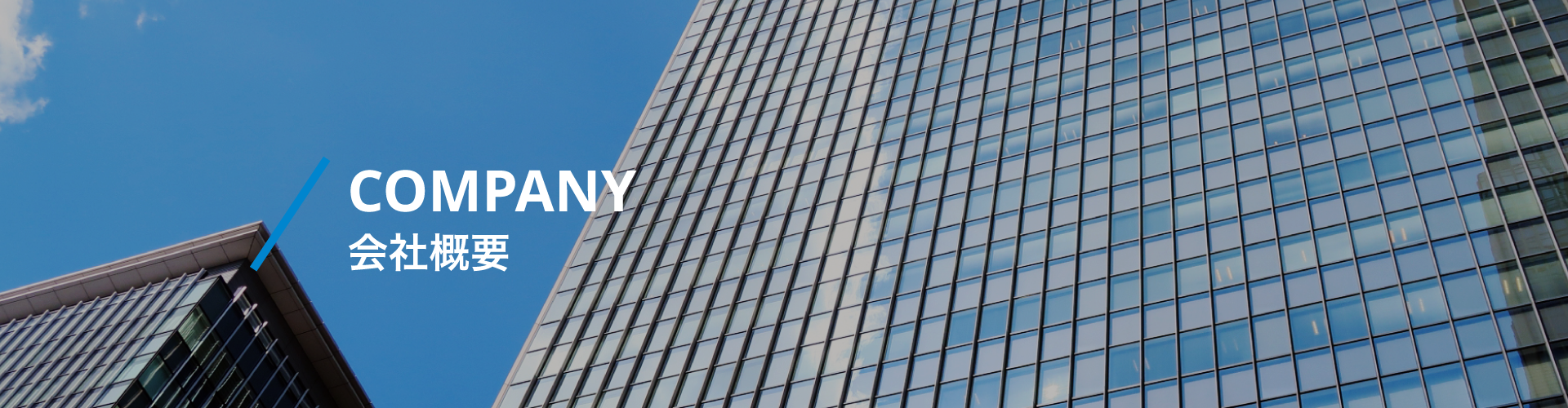 COMPANY 会社案内